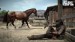 Red_Dead_Redemption_Horse